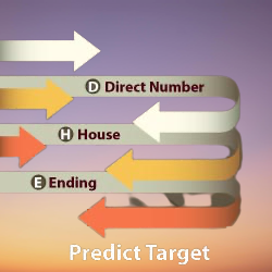 bhutan teer night images